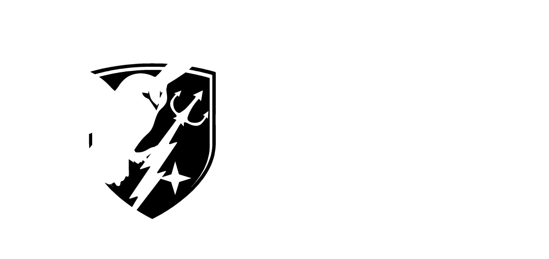Defense Strategies Group 